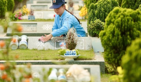 Những loại cây nên trồng ở phần mộ gia tiên dịp Tết Thanh Minh vừa tỏ lòng thành kính vừa giúp gia chủ hưởng phước đức