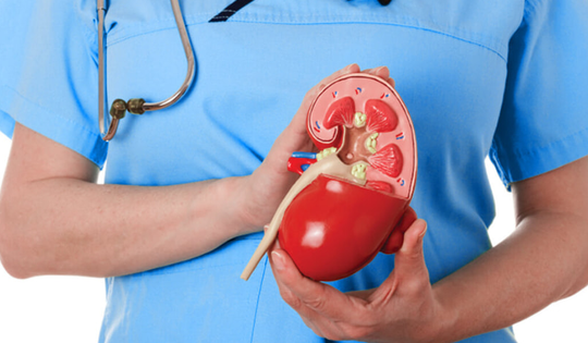 Thuốc điều trị Hội chứng Alport