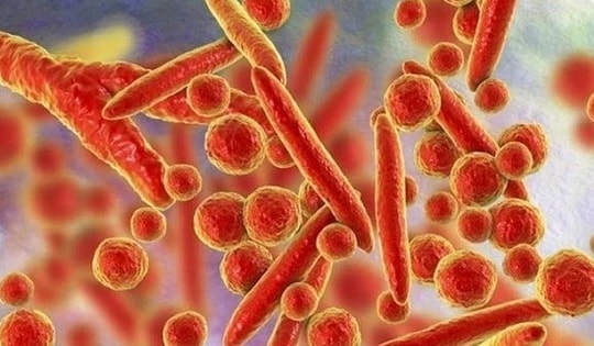 WHO bác thông tin về virus lạ gây triệu chứng ho ra máu ở Nga