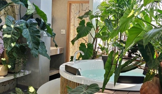 Vợ chồng ở Đà Nẵng đem 'bể nước nóng, không gian xanh' vào ngôi nhà giữa phố