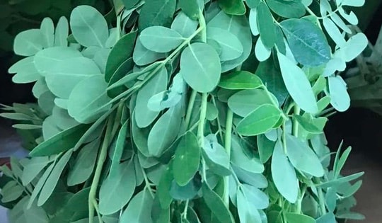 Loại rau giàu canxi gấp 4 lần sữa, nhiều vitamin C gấp 7 lần cam