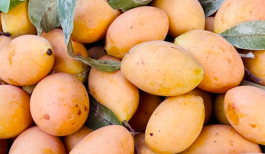 Thanh trà vào mùa bán đầy chợ Việt giá vài chục nghìn đồng/kg