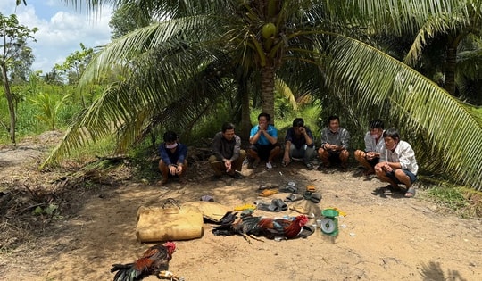 Bắt quả tang 7 đối tượng đang đá gà ăn tiền ở khu đất trống