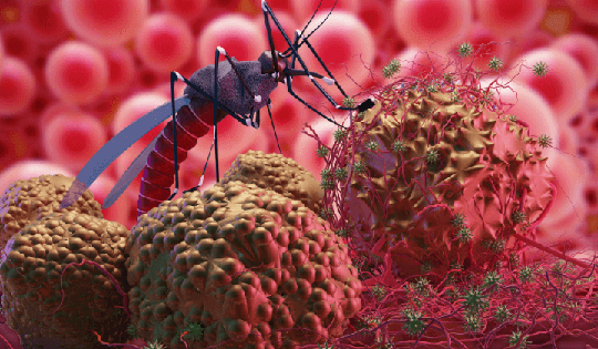 Chung tay thanh toán và loại trừ sốt rét