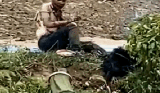 Đi câu cá, vừa vung cần người đàn ông đã hét lớn rồi ngã quỵ, người dân chạy tới chứng kiến cảnh ám ảnh