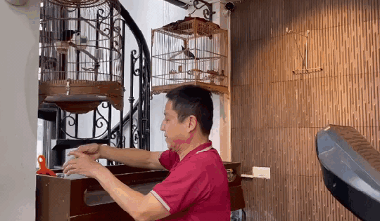 Video: Thú chơi chim, nuôi cá tưởng đại gia nhưng khi biết giá ai cũng sốc của NSƯT Chí Trung