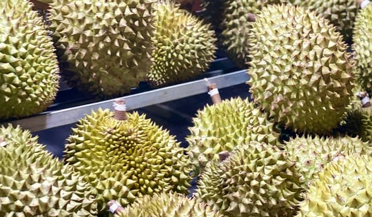 Thực hư sầu riêng bán đầy vỉa hè treo giá 60.000 đồng