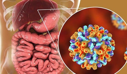 Người đàn ông 61 tuổi ở Hà Nội nhập viện vì viêm gan cấp thừa nhận một sai lầm nhiều người Việt mắc phải