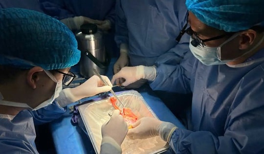 Lần đầu thực hiện ghép thận tại 2 bệnh viện tuyến tỉnh của Quảng Ninh