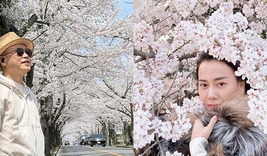 Shark Bình đầy 'sang chảnh' khi ngắm hoa anh đào cùng Phương Oanh