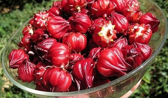 Món canh đẹp mắt, nấu đơn giản, vừa ngon miệng lại dưỡng gan cực đỉnh