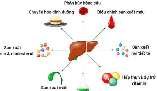 6 cách đơn giản để thải độc gan