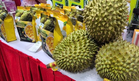 Sầu riêng xuất khẩu còn ít hơn chuối