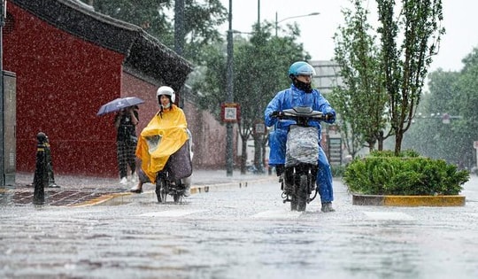 Bộ Nông nghiệp và Môi trường chỉ đạo ứng phó với không khí lạnh và mưa lớn