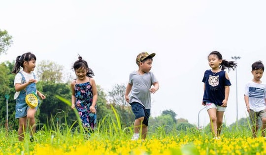 Đẩy mạnh các dịch vụ toàn diện về chăm sóc, giáo dục và bảo vệ trẻ em