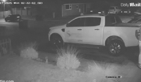 3 kẻ khả nghi tiến đến định trộm ô tô, chủ nhà vừa xuất hiện và làm 1 việc thì lập tức "chạy mất dép"