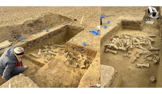 Phát hiện nghĩa địa 25.000 năm của những quái vật khổng lồ