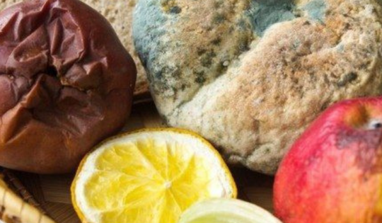 Tiêu thụ nhiều loại rau chế biến này sẽ tăng nguy cơ ung thư dạ dày