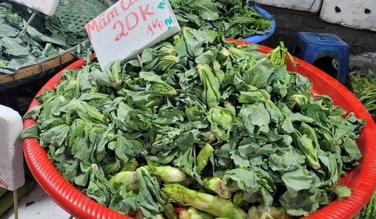 Loại rau mầm được mệnh danh là 'vua' vitamin K, đổ về Thủ đô, bán la liệt nhiều mức giá