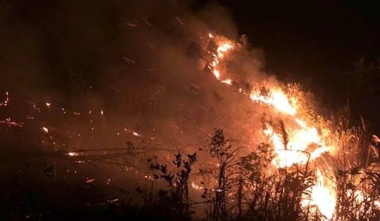 Thủ tướng chỉ đạo khắc phục nhanh nhất hậu quả 2 vụ cháy rừng trên địa bàn tỉnh Quảng Ninh