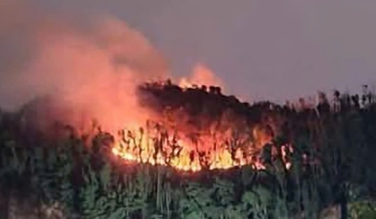 Hải Phòng: Điều tra nguyên nhân vụ cháy rừng núi Cột Cờ