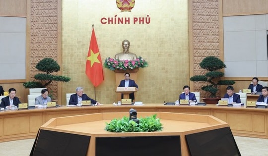 Chính phủ cho ý kiến về một số cơ chế, chính sách đặc thù phát triển nhà ở xã hội