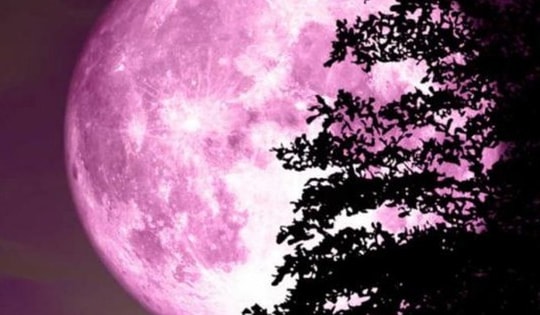 Quan sát siêu trăng hồng đẹp kỳ lạ vào tối nay