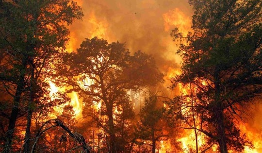 Thời tiết hanh khô khiến 70 vùng cảnh báo cháy rừng nguy hiểm