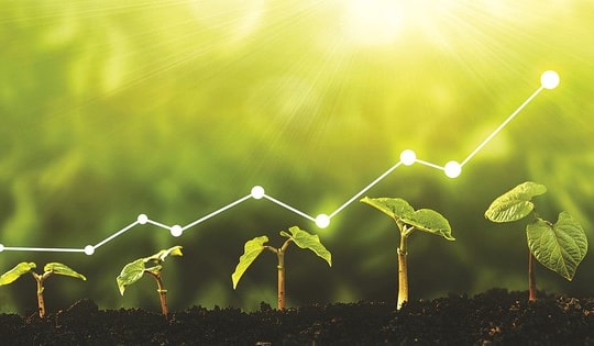 Thảo luận công nghệ đột phá chuyển đổi xanh để phát triển bền vững