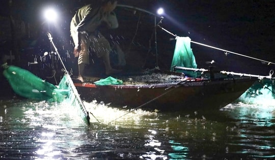Mùa săn ‘lộc trời’ trên sông Hồng