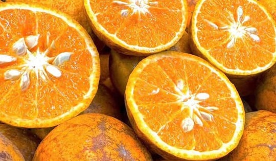 Lợi ích bất ngờ từ vỏ quýt sim, các món ngon từ vỏ quýt sim vừa dễ làm tại nhà vừa tốt cho sức khỏe