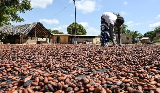 UNCTAD đề nghị Mỹ loại các nước nghèo khỏi danh sách chịu thuế quan mới