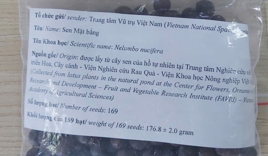Vì sao chọn hạt sen để mang lên vũ trụ?
