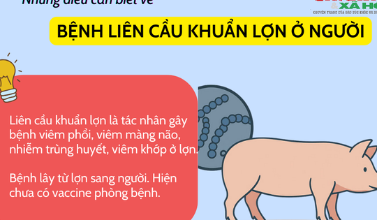 Người đàn ông mắc liên cầu khuẩn sau khi ăn lòng lợn: Những điều cần biết về căn bệnh nguy hiểm này