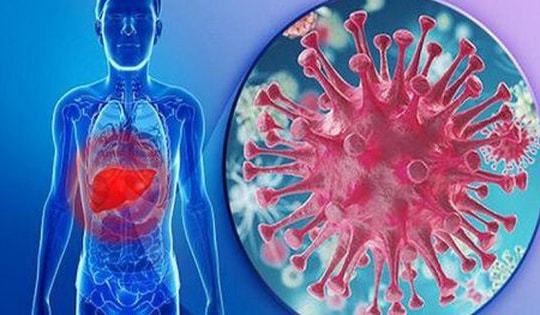 Biến chứng đáng sợ của men gan thấp nếu không được điều trị đúng