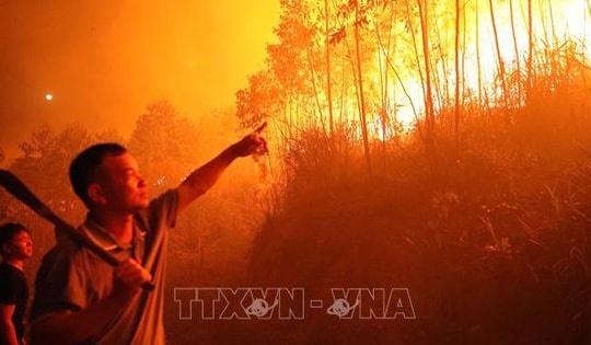 Cháy lớn tại khu rừng trồng bạch đàn ở Tam Đảo