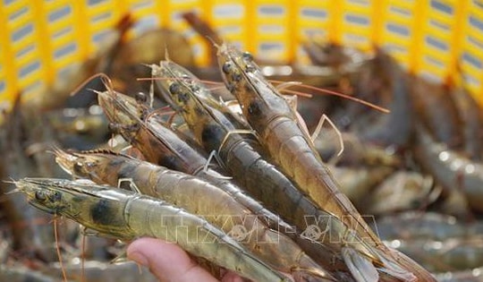 Gói tín dụng nông, lâm thủy sản có quy mô 100.000 tỷ đồng