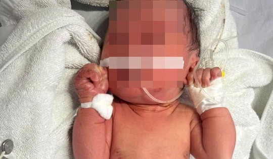 Hà Nội: Bé gái sơ sinh bị bỏ rơi ở bụi chuối, trên người nhiều vết xước và côn trùng đốt