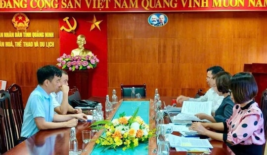 Quảng Ninh: Xử phạt chủ tàu cho du khách đánh Pickleball trên boong