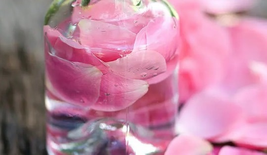 Cục Quản lý Dược chuyển đơn tố cáo Chu Thanh Huyền liên quan đến bán mỹ phẩm sang cơ quan chức năng của Hà Nội
