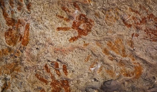 Con người tránh tuyệt chủng 41.000 năm trước nhờ... kem chống nắng