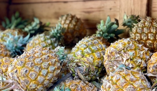 Dứa vào vụ giá vẫn cao vút, tiểu thương 'dè dặt' nhập hàng vì sợ lỗ vốn