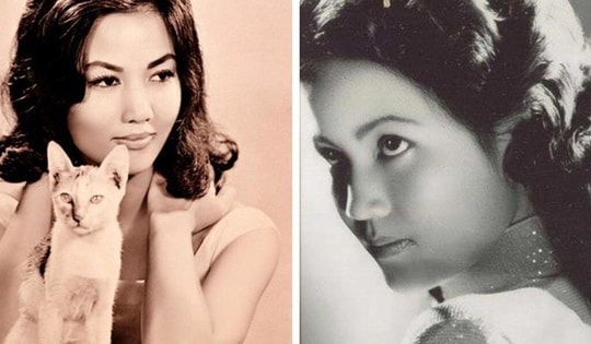 Hành trình làm nghệ thuật của mỹ nhân Việt duy nhất toả sáng tại Hollywood