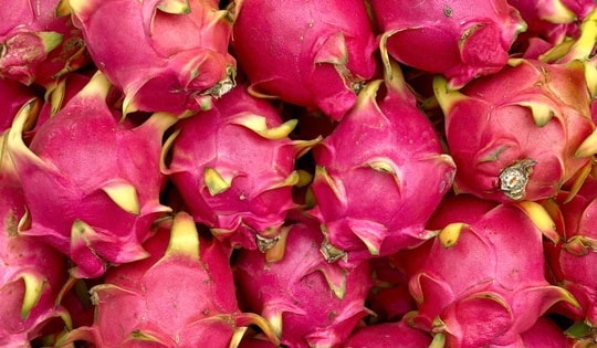 Loại quả Việt xuất khẩu tỷ USD bán đầy thị trường trong nước mức giá 'siêu' rẻ