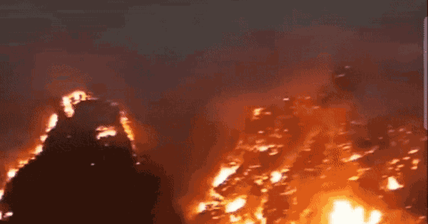 Hậu quả tàn khốc từ những vụ cháy rừng liên tiếp những ngày qua