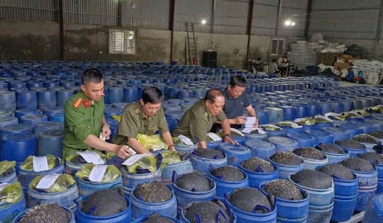 Bắt 4 chủ cơ sở sản xuất 3.500 tấn giá đỗ ngâm hóa chất