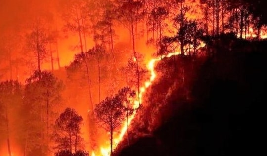 Nắng nóng lan rộng ra khắp miền Bắc, nguy cơ cháy rừng tăng cao