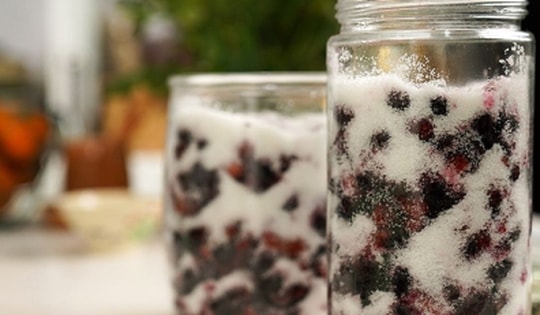 Cách ngâm dâu tằm để được lâu, không bị nổi váng