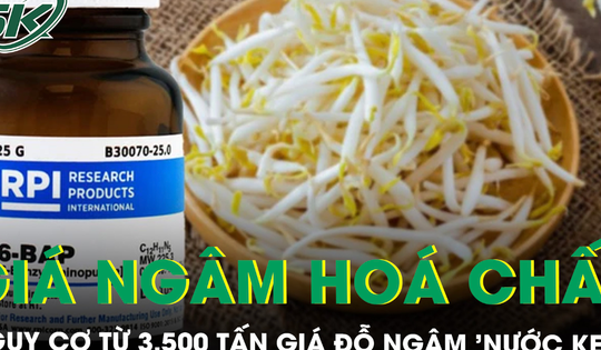 Nguy cơ tiềm ẩn sức khoẻ từ vụ 3.500 tấn giá đỗ ngâm 'nước kẹo’