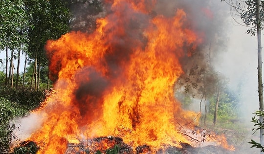 'Dị nhân gọi mưa' Nguyễn Minh Hoàng lại muốn chữa cháy rừng cho các địa phương